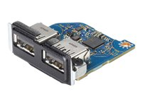 HP Flex IO V2 Card - 2 x USB 3.1 Gen1-port - for EliteDesk 800 G6, 805 G6; ProDesk 400 G6 (mini desktop), 400 G7, 405 G6, 600 G6; Workstation Z1 G6 Entry 13L58AA