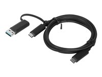 Lenovo - USB-kabel - 24 pin USB-C (hann) til 24 pin USB-C (hann) - 20 V - 5 A - 1 m - svart 4X90U90618